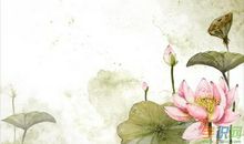 借物喻人写荷花的作文