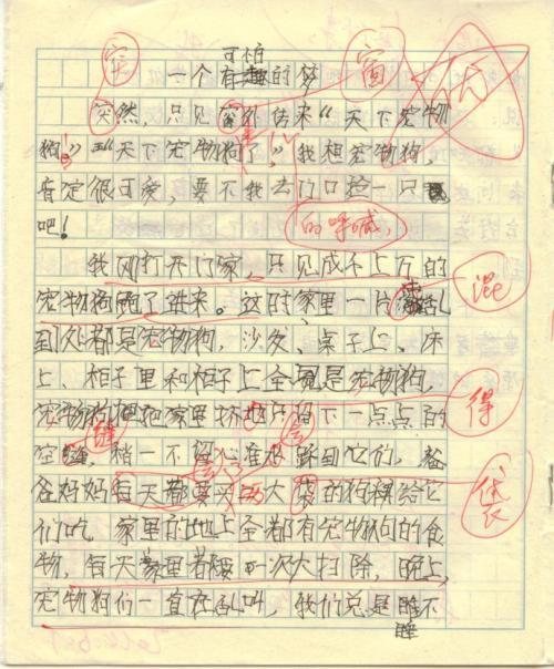 在一个特殊的日子里