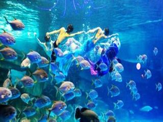 海底世界之旅
