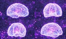 别让人工智能取代大脑