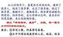 有你的陪伴真好作文