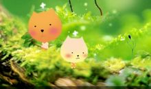 我的梦绿色的梦