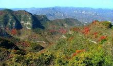 面对山林我流泪了