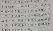 我闯了祸作文300字