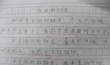 我的好朋友二年级写话200字