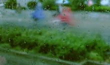 雨，带来的惊喜