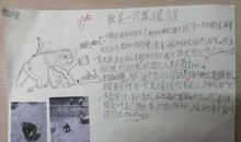 仿写我是一只小虫子二年级