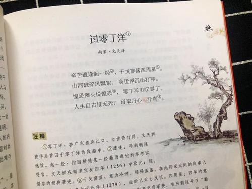 飞行花