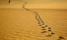 一次人生的旅行