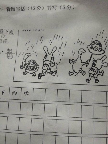 小白拉巴斯飞过来看看图片