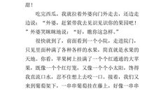 那一道风景作文