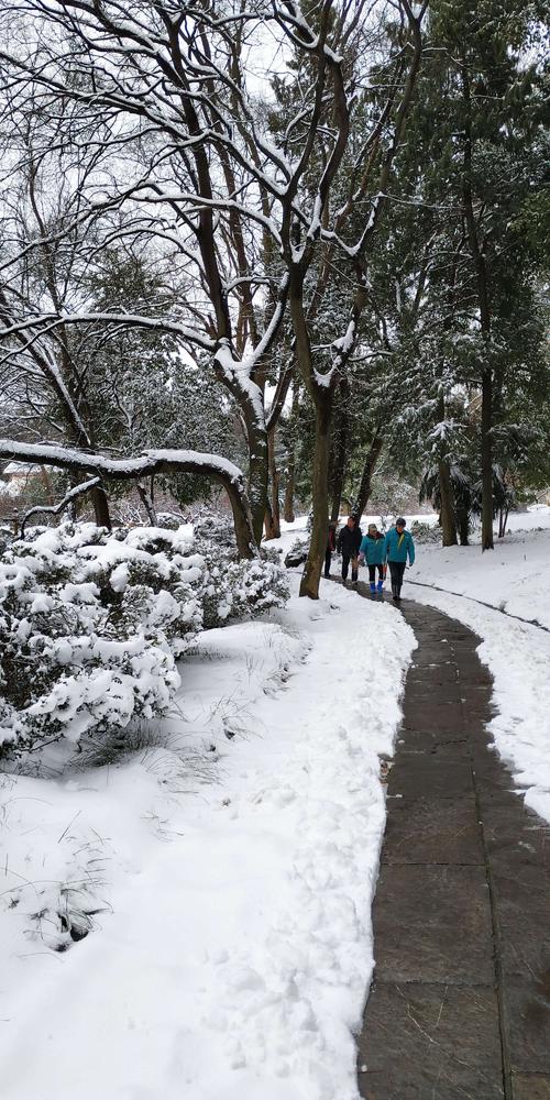 春天的第一雪