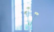 转身遇见恰到好处的幸福