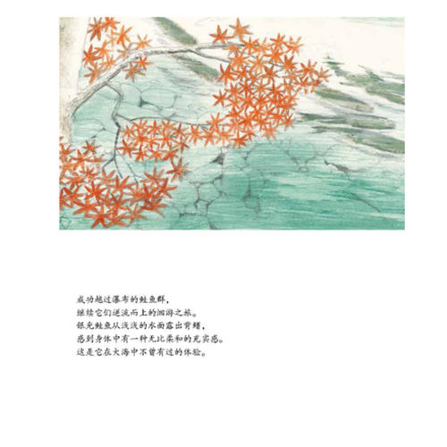 鲑鱼冲上去