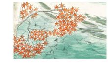 鲑鱼向前冲读后感