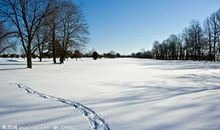 冬日的早晨作文