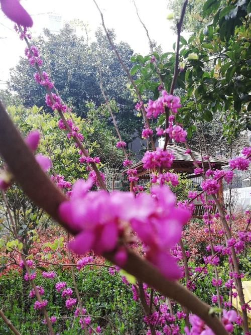 火炬