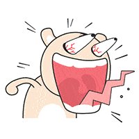 我最喜欢的老师