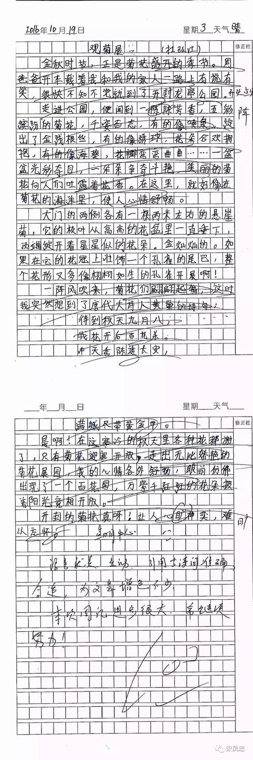 观察家庭的构成