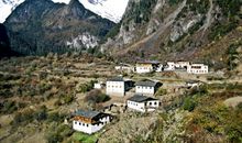 山林深处的竹韵