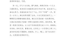 榨汁机的说明文