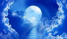 我追赶云朵飘来的痕迹