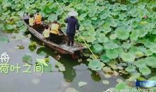 小鸟，我懂你的心思