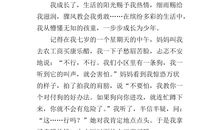 我小组的故事作文