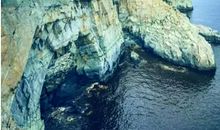 一滴秘密的眼泪读后感