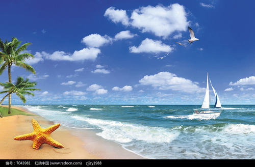 海边视图