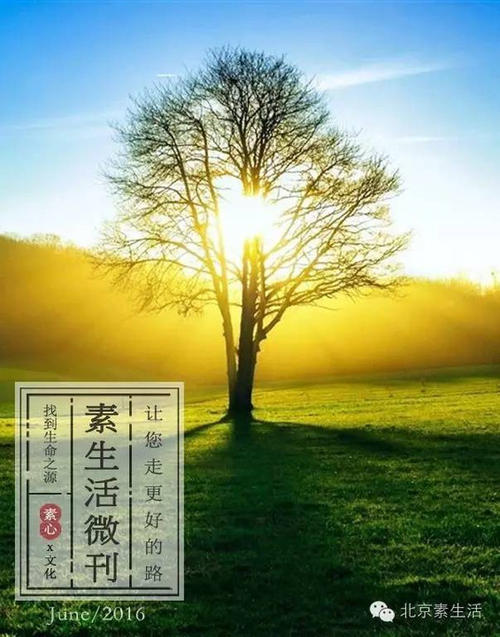太阳的核心往往很棒