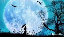 循着圆月的光辉