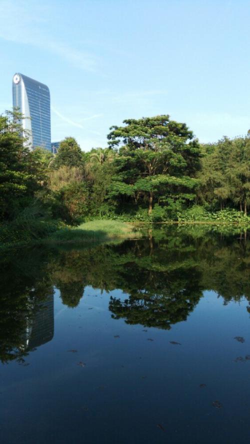 春天卢良公园
