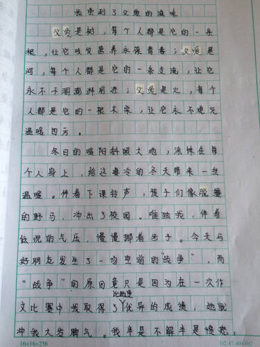 我品尝了叶子的气味。
