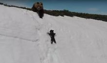 小熊爬雪山观后感