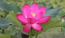 成长见证自立的可贵