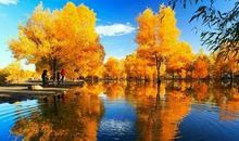 那年的那个秋季