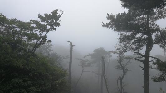 多雾路段