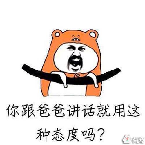 我还没有在我的表达式包中。