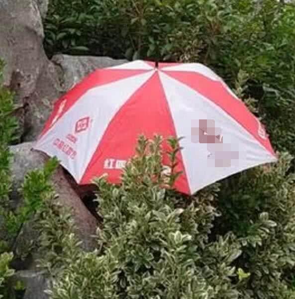 我还记得雨伞