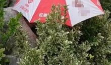 我依然记得那把雨伞