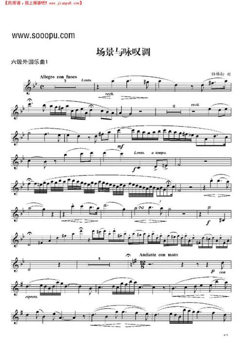 家庭作业咏叹调