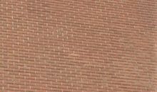 青春年少感恩相报