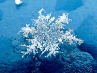 我是一个小雪花