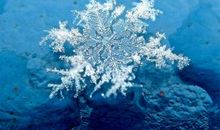 我是一片小雪花