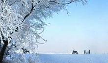 那个冬天的故事