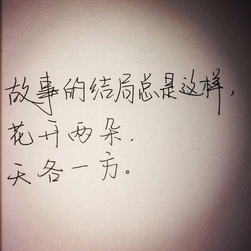 我的心脏记录