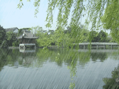春雨
