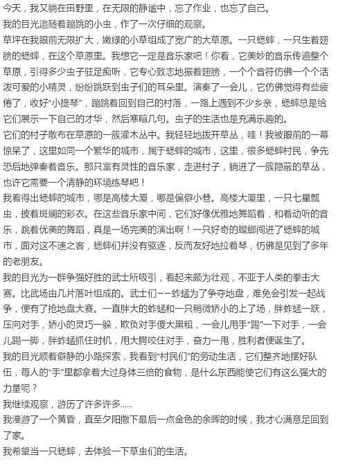 蜂鸣器模仿写作的村庄
