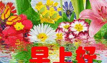 感谢诗歌盛装莅临我的青春